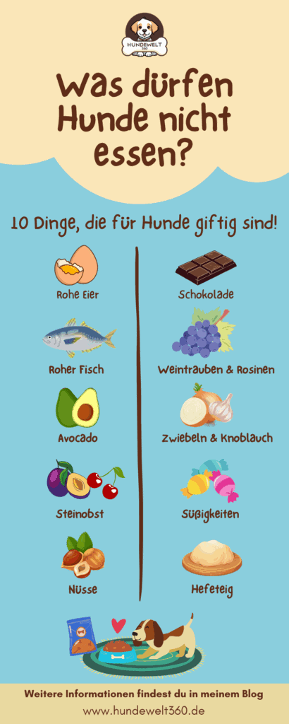 Was dürfen Hunde nicht essen?