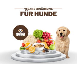 Mehr über den Artikel erfahren Vegane Hundeernährung Rezepte: Schnell, gesund & lecker