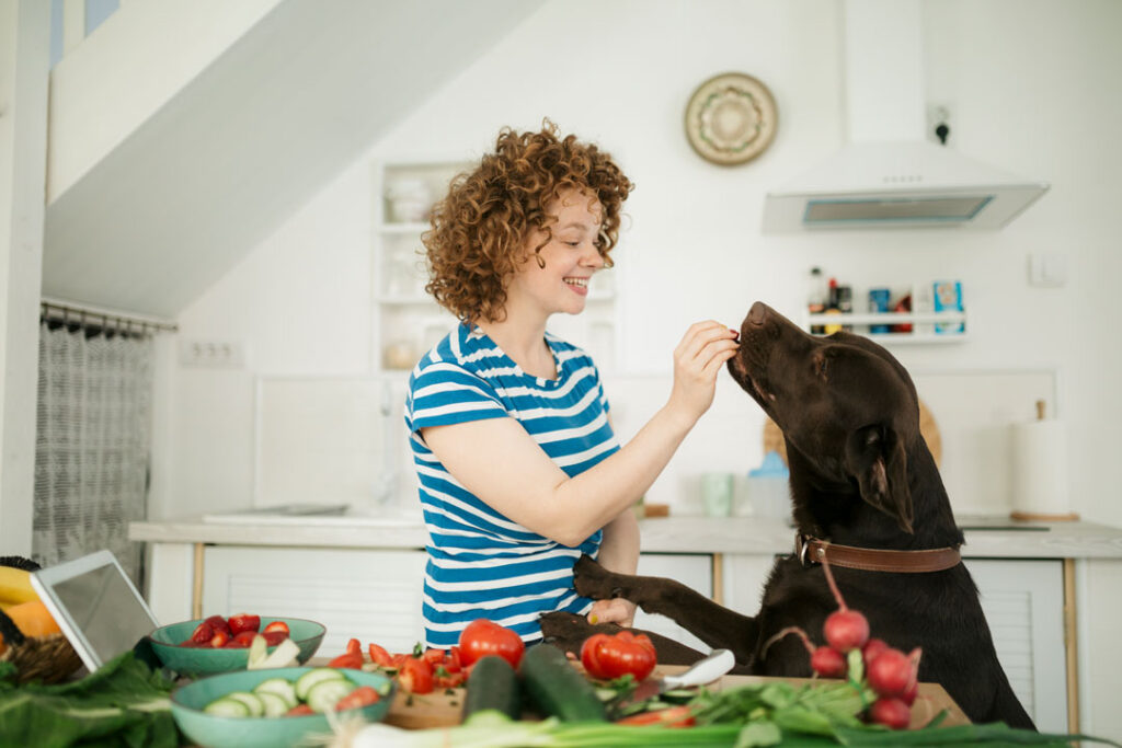 Vegane Hundeernährung