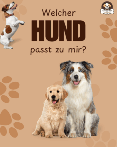 Welcher Hund passt zu mir?