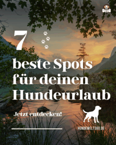 Mehr über den Artikel erfahren See Hundestrand: Die besten Spots für deinen Hundeurlaub