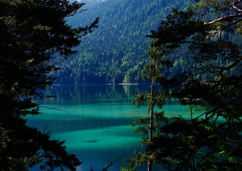 Mehr über den Artikel erfahren See Hundestrand: Die besten Spots für deinen Hundeurlaub