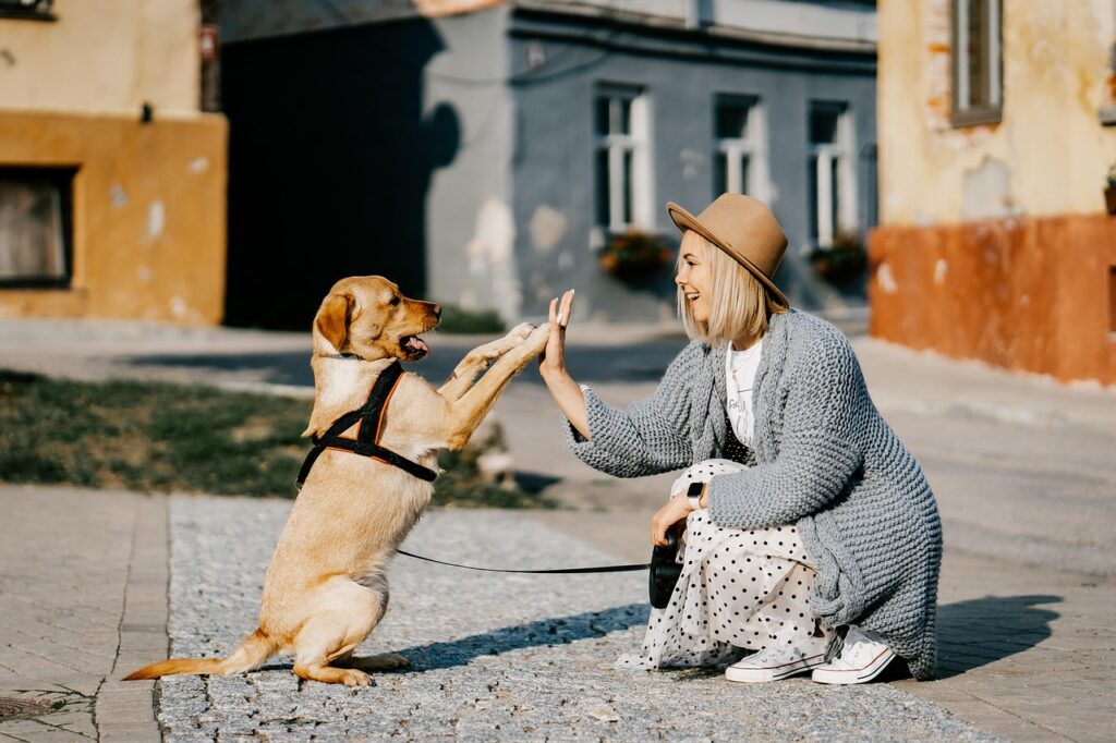 Frau mit pflegeleichtem Hund für Anfänger Handschlag