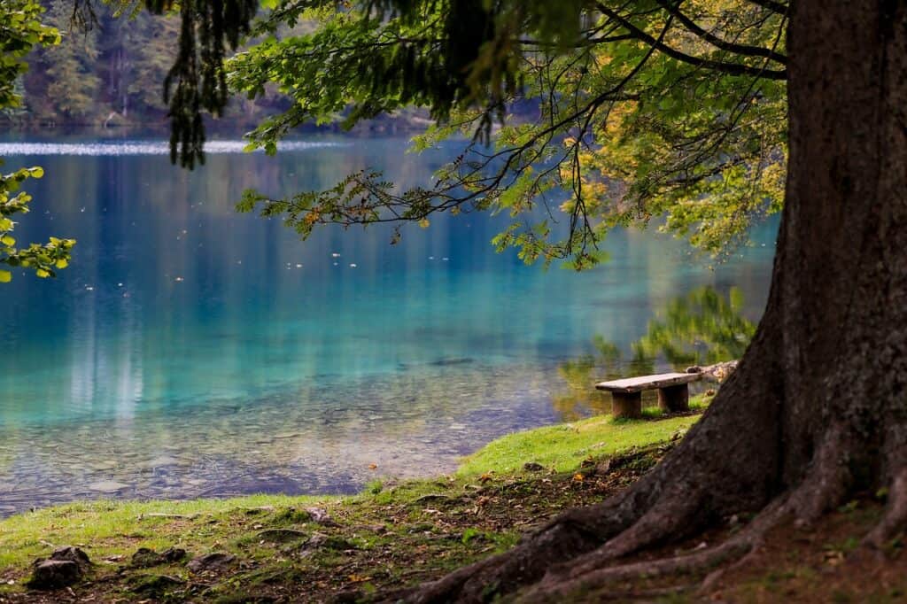 See mit Baum