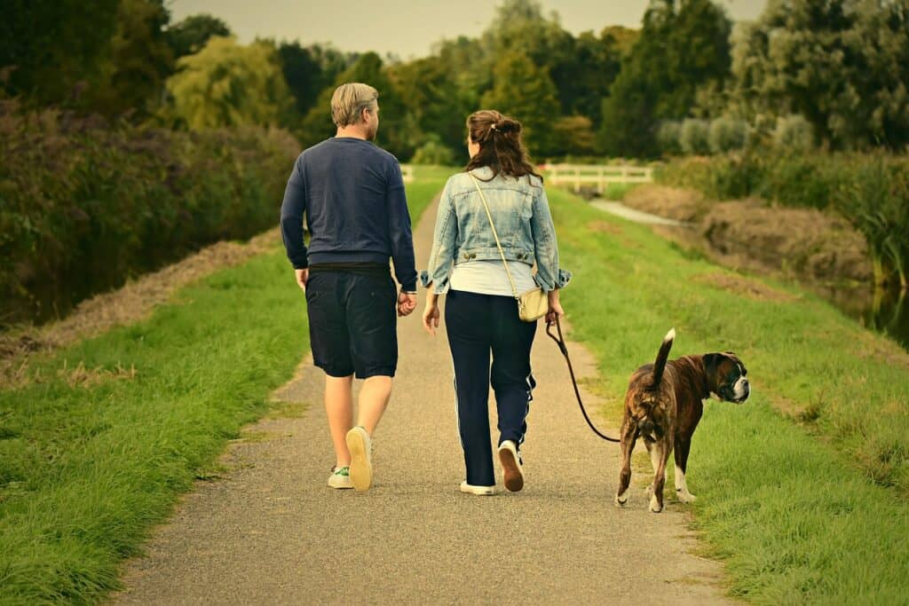 Sonniger Spaziergang mit Hund, Paar beim Gassigehen im Grünen, entspannter Ausflug mit Haustier, Naturerlebnis, Spazierroute am Fluss, hundefreundliche Outdoor-Aktivität, Hundetraining im Park.